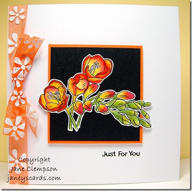 Freesia - Janey's Digi Designs Freesia - Janey's Digi Designs