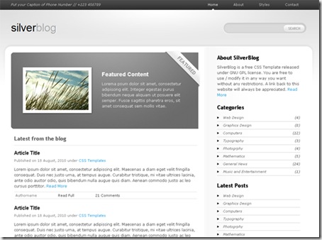 SilverBlog