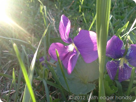 IMG_20120329_184511 IMG_20120329_184511