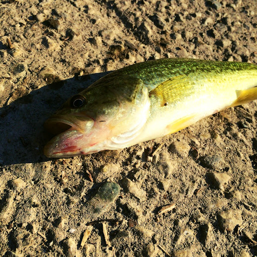20140913163740.jpg