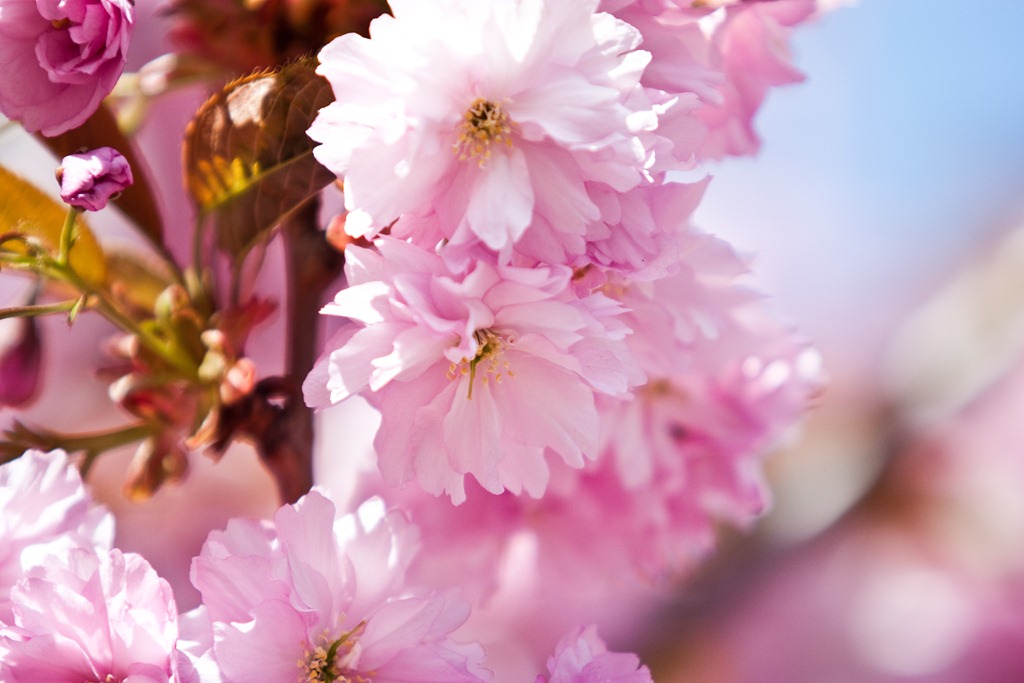 [20110501-IMG_8519-2%255B4%255D.jpg]