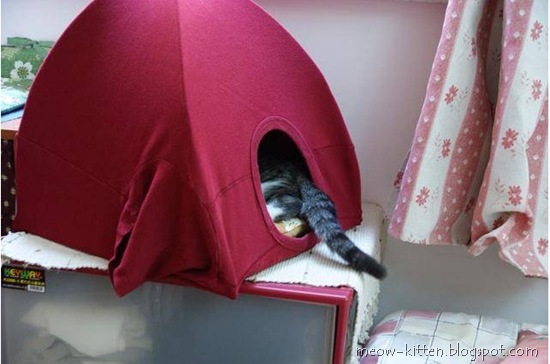 DIY cat tent with old t shirt 4 DIY cat tent with old t shirt 4
