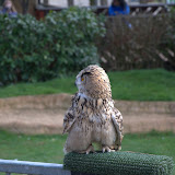 Cub Pack Holiday - Skreens Park 2012 - DSC_0169.jpg
