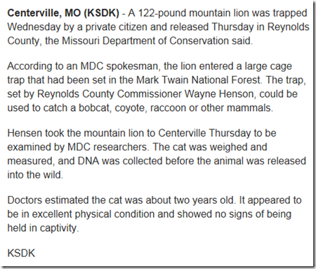 2012-01-06_0951mountainlionstory 2012-01-06_0951mountainlionstory