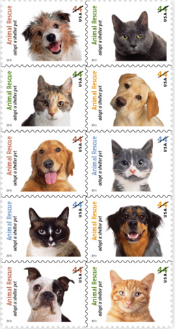 [image%255B80%255D.png]