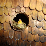 1521-27.JPG