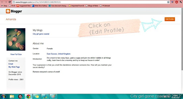 blogger edit profile