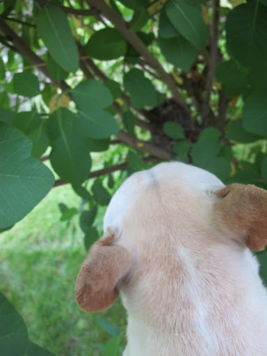 I'd like to get closer and sneak a peek!