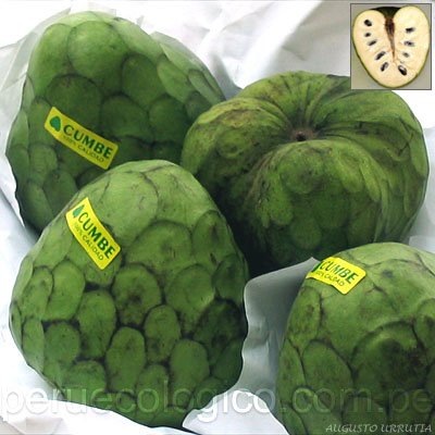 [chirimoya%255B2%255D.jpg]