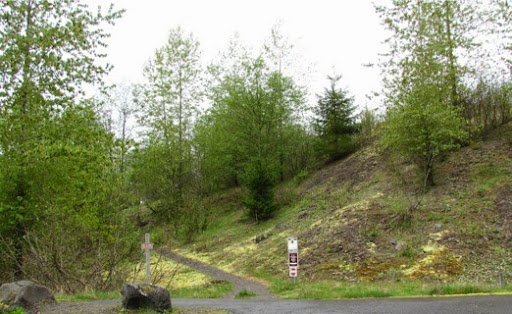 NatureRecoversatMt.St.Helens-6-2014-05-10-21-07.jpg