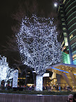 Holiday lights at Roppongi