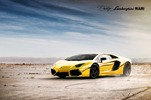 Lamborghini-Project-AU79-2 Lamborghini-Project-AU79-2