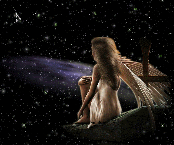 Animation8 Animation8