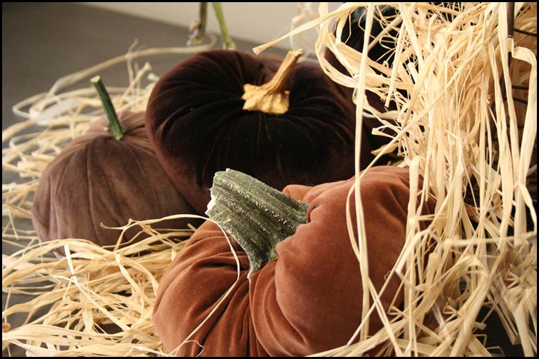 pumpkins2