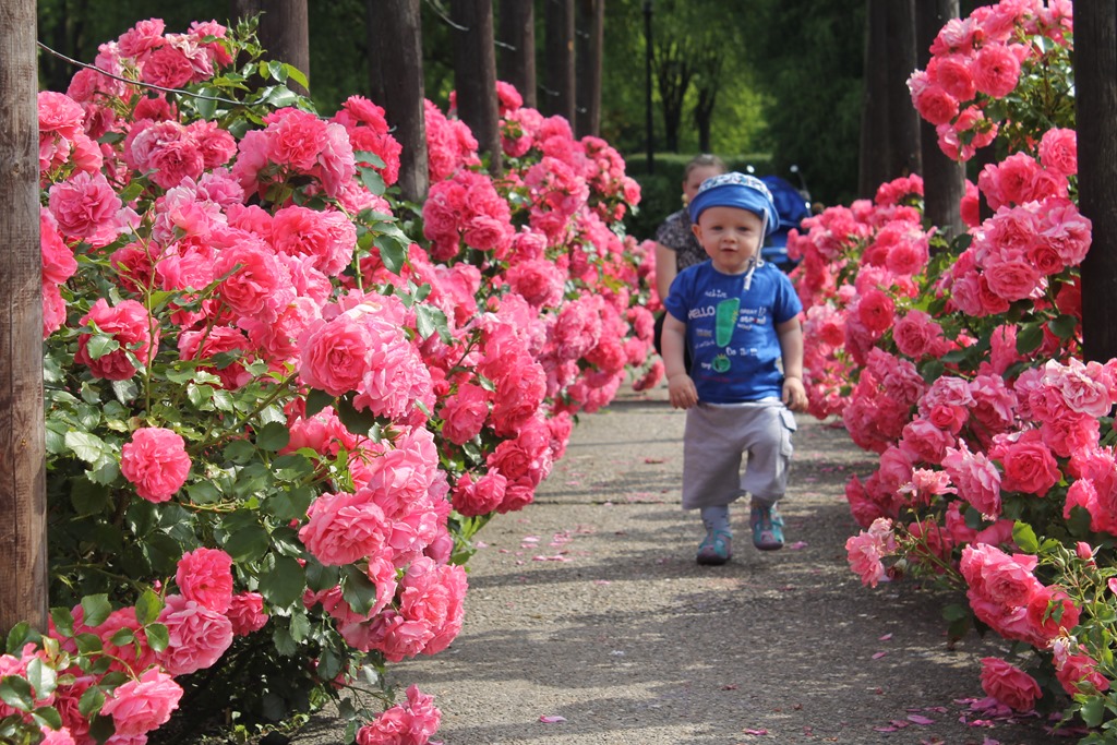 [IMG_7022%255B5%255D.jpg]