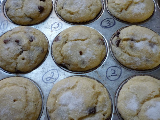Chocolate Chip Muffins.