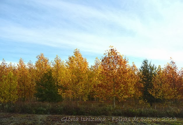 Glória Ishizaka - Folhas de Outono 27