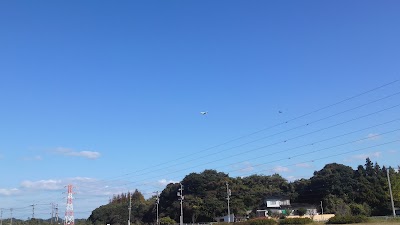 2014-11-15 11.59.21.jpg