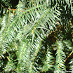 DMG_DSC06059.jpg