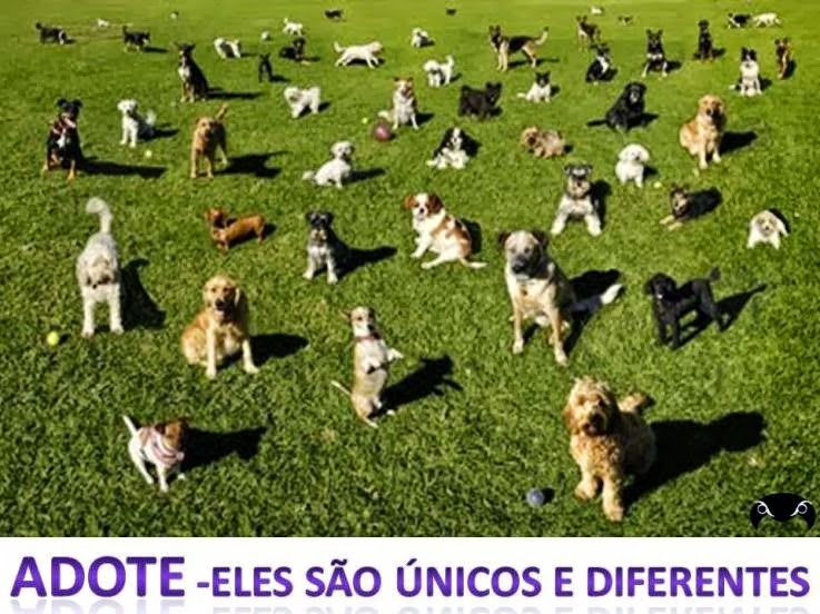 [Slide12%255B3%255D.jpg]