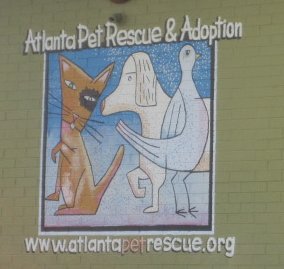 Phoebe and Jackie got Ms. Boots Malloy through their favorite rescue group, Atlanta Pet Rescue and Adoption.(See link at end of post.)