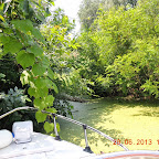 DSCN8396.JPG