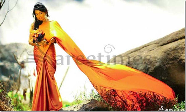 Vaishali in Orange Saree Photoshoot Stills