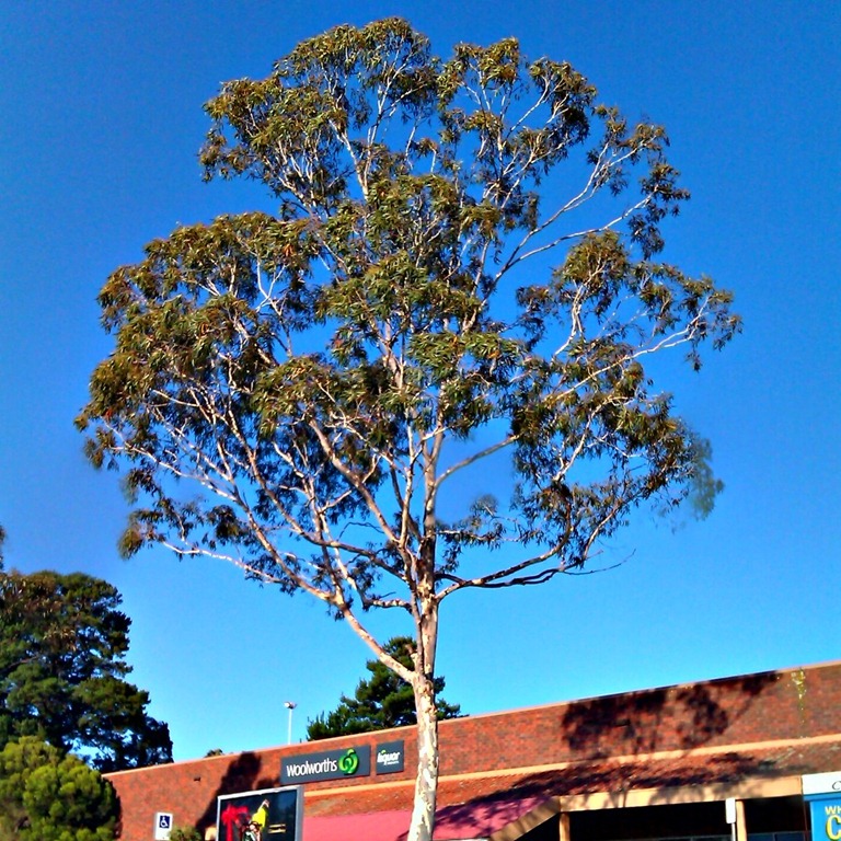 [2011-12-29_19-03-24_HDR%255B4%255D.jpg]