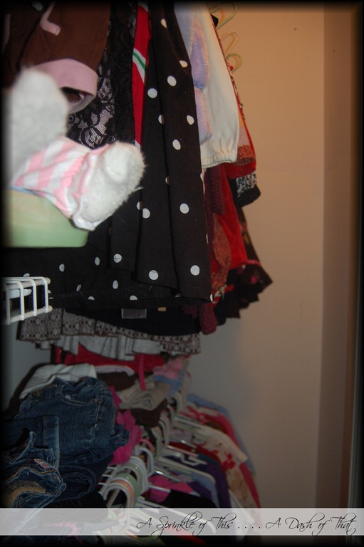 [Childs%2520Closet%2520Before%2520%257BA%2520Sprinkle%2520of%2520This%2520.%2520.%2520.%2520.%2520A%2520Dash%2520of%2520That%257D%255B9%255D.jpg]