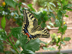 p1300354915(5).jpg