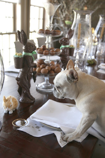 There, right next to the chocolate bunnies.  Those little guys sure are cute, don't you think?