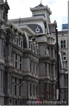 DSC_0335 DSC_0335