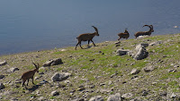 CIMG3341.JPG Photo