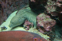 IMG_3025 IMG_3025