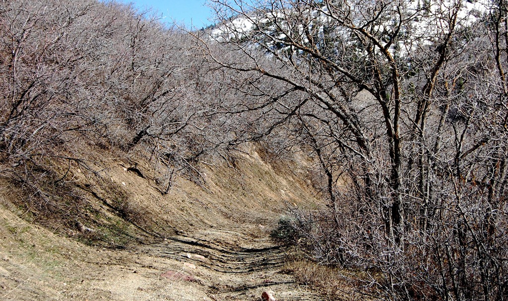 [may2011lambscanyon1812.jpg]