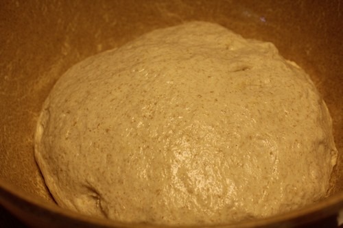 [italian-spelt-bread0145.jpg]