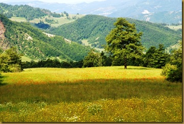 prato prato