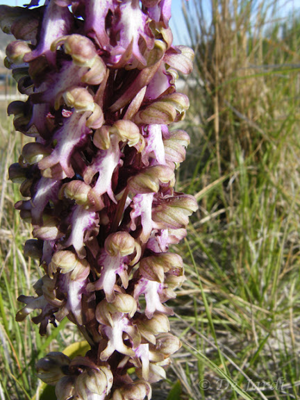 2012_03080002.jpg