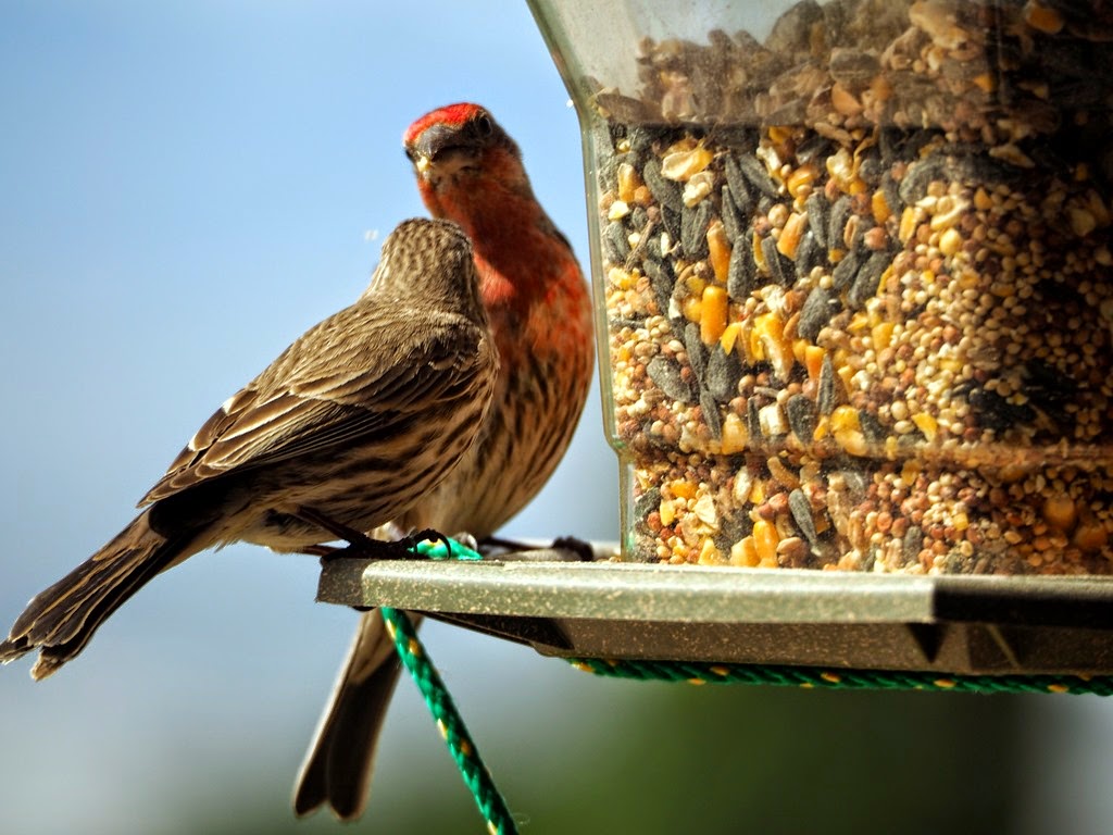 [P4160014%255B3%255D.jpg]