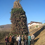 Pignarul 2011