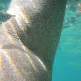 IMG_0744.JPG