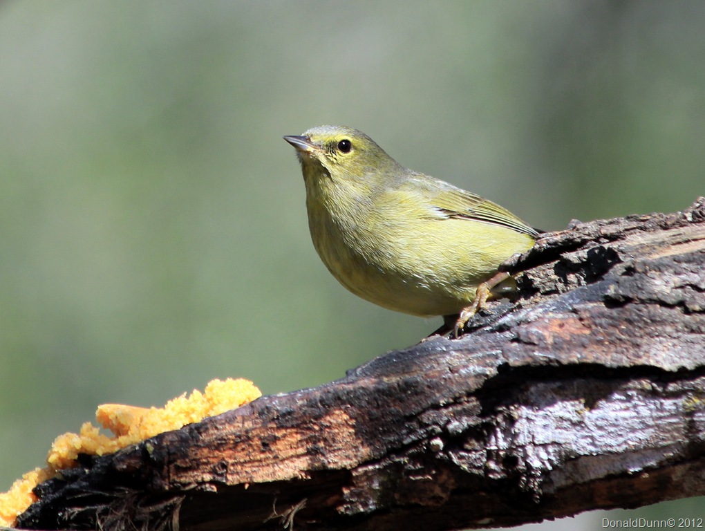 [IMG_2244K%255B1%255D.jpg]