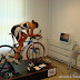 Display Gallery