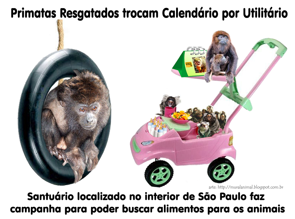 [primatas-calendario%255B3%255D.png]