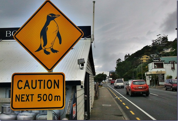 penguin sign