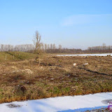 P1020560.jpg