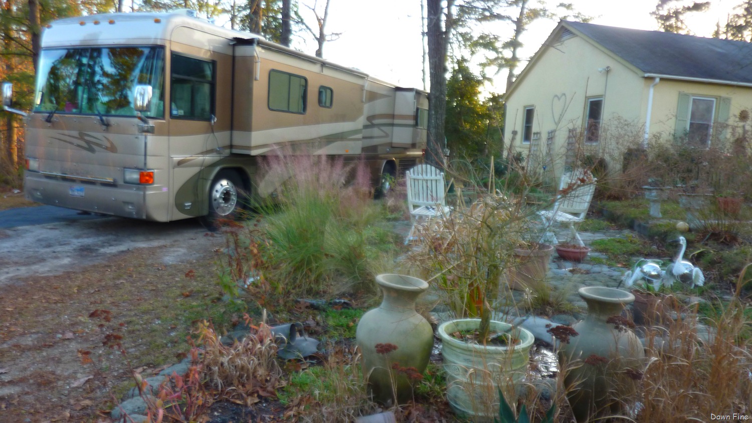 [Yellow-bellied-sap_0178.jpg]