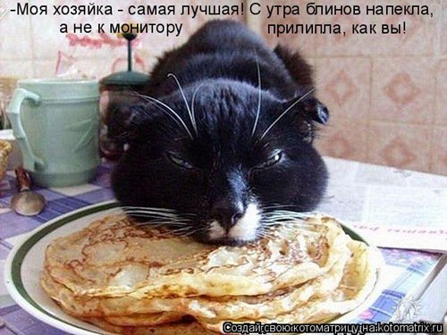 Моя хозяйка - самая лучшая!..
