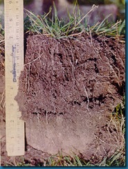 soil-2bg soil-2bg