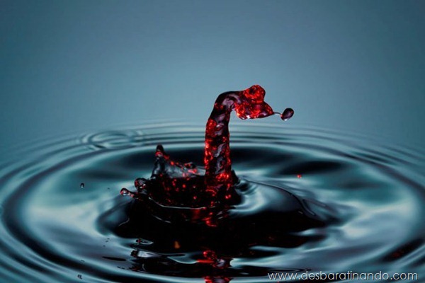 liquid-drop-art-gotas-caindo-foto-velocidade-hora-certa-desbaratinando (133) liquid-drop-art-gotas-caindo-foto-velocidade-hora-certa-desbaratinando (133)